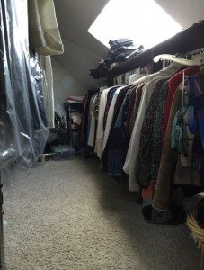 One half of our Master closet Storage